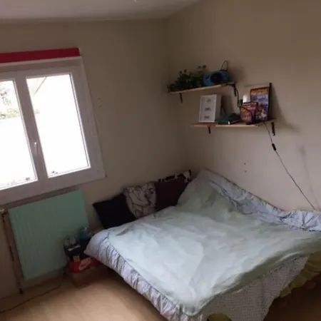 Maison Chaleureuse Avec Jardin 3* Libourne
